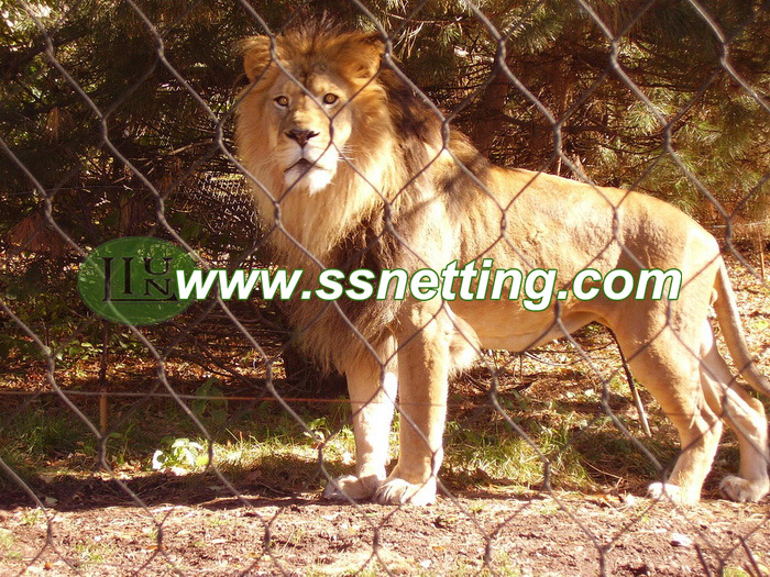 Liulin Lion Enclosure Fence