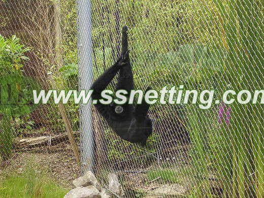 Gorilla cage fence designing and selection