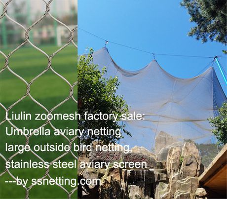 Umbrella aviary netting, large outside bird netting, stainless steel aviary screen.jpg