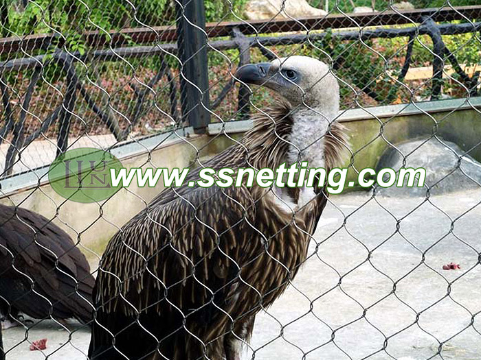 Eagle Cage Netting