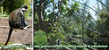 Nagao Monkey fence.jpg