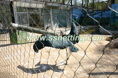 Crane netting fence.jpg