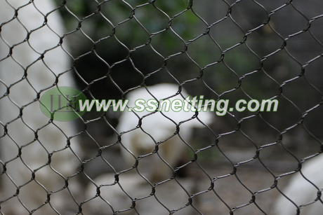 Bird cage netting (18).jpg
