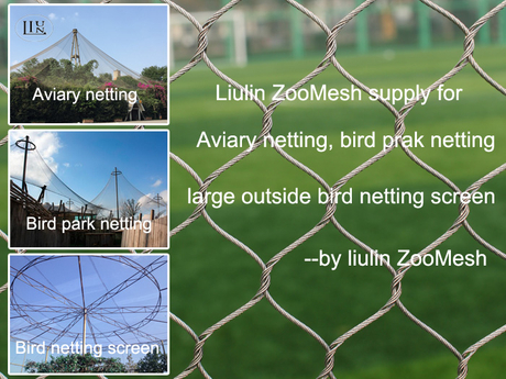 Zoo mesh sturcture.jpg
