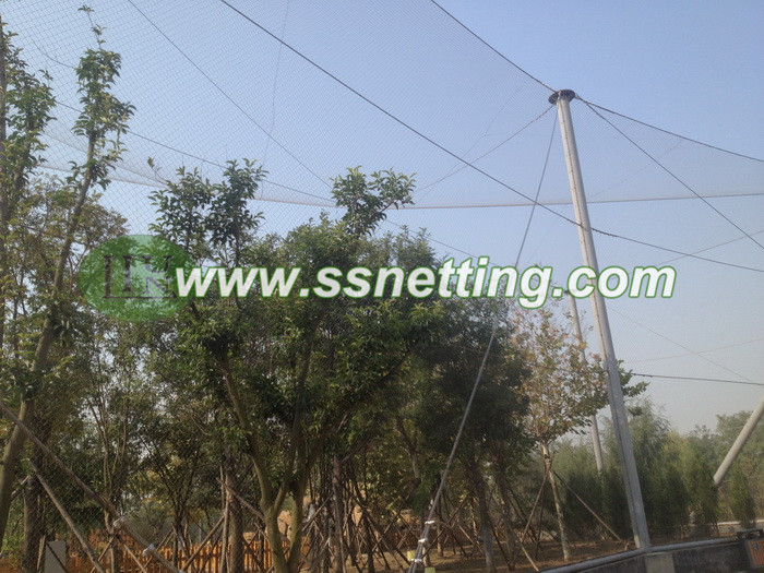 Aviary Wire Netting