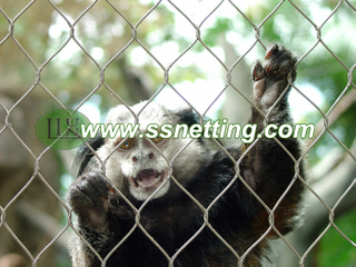 Animal Enclosures Netting