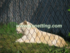 Lion Enclosure Fence Netting