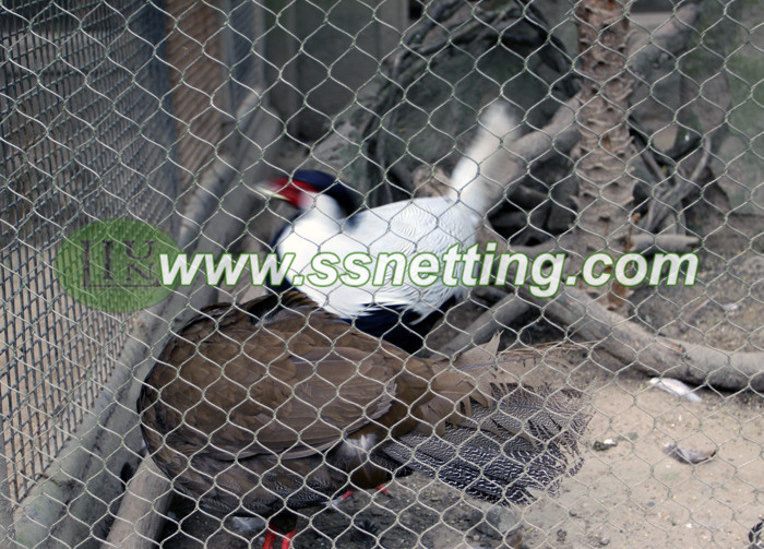 Application of Bird Cage Fencing 