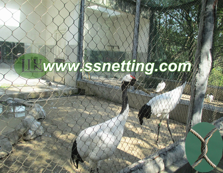 stainless steel egret protective net, egret cage fence mesh.jpg