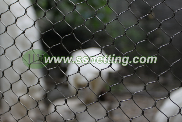 Zoo wire mesh for small birds cage fencing