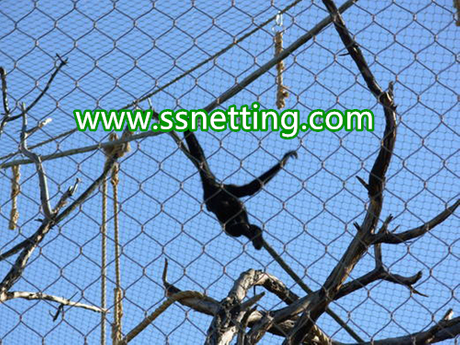 gorillas cage fence, gorillas fence enclosure, gorillas enclosure mesh-liulin manufacturer custom.jpg