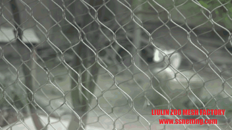 zoo animal cage isolated fence.gif