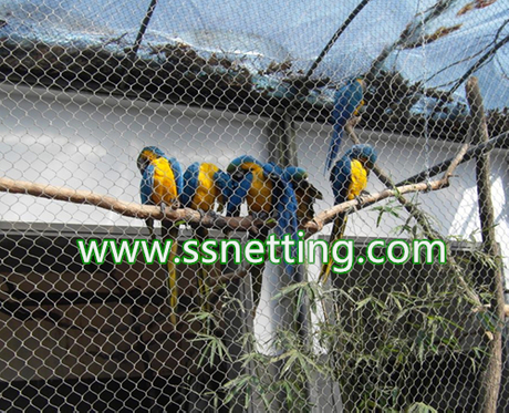High quality zoo mesh, zoo mesh for sale, steel wire rope zoo netting supplier.jpg