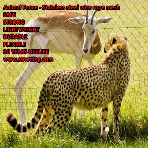 Animal Fence safe System