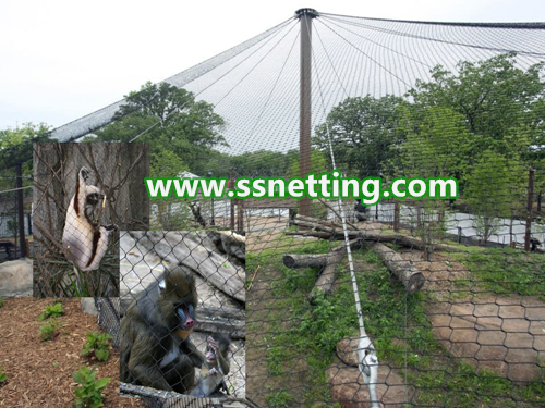 Large Monkey Cage Protection Netting / Monkey Fence - Stainless Steel Monkey Enclosure Mesh