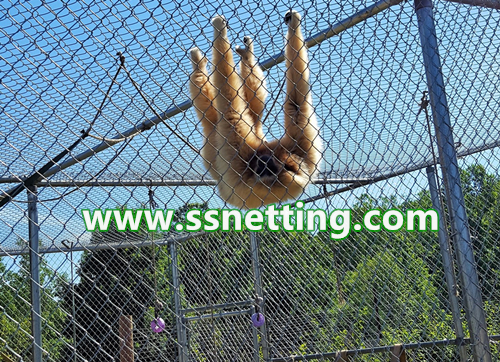 Gorilla barrier cage fencing-stainless steel wire rope mesh