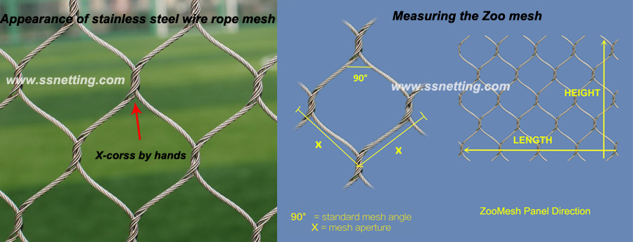 zoo mesh appearance