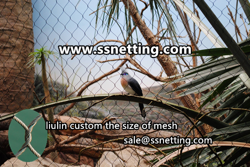 Stainless steel cable woven mesh for aviary