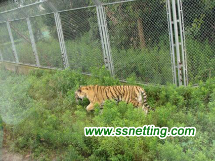 Safe Tiger Protection Nets