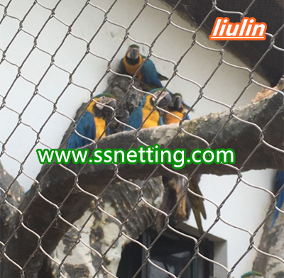 Parrot cage netting suppliers design- zoo parrot fence mesh.jpg