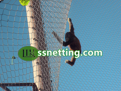Chimpanzee cage enclosure mesh, orangutan fence netting, gorilla cage fence_1.jpg