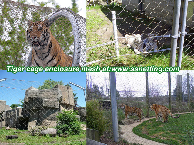Tiger Enclosure Mesh