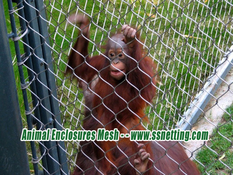 Animal Enclosures Mesh - - www.ssnetting.com.jpg