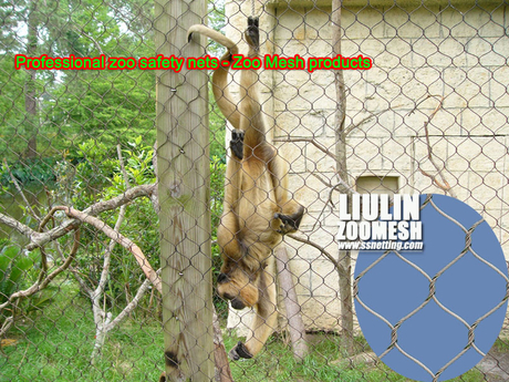 Professional zoo safety nets - Zoo Mesh products.jpg