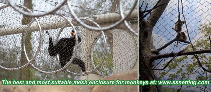 The best and most suitable mesh enclosure for monkeys