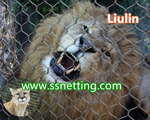 wire rope mesh is used for lion exhibit fence, lion enclosure netting, lion cage fence