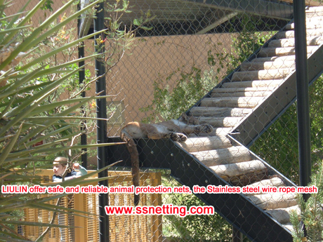LIULIN offer safe and reliable animal protection nets, the Stainless steel wire rope mesh.jpg
