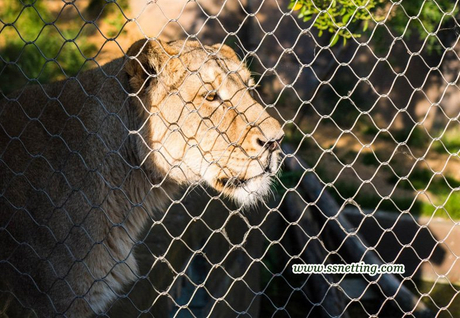lion cage mesh suppliers-01.jpg