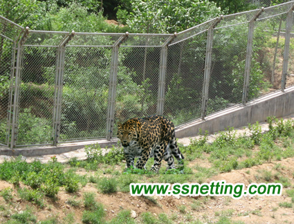 Tiger/lion/leopard/beast animal cage protection fence