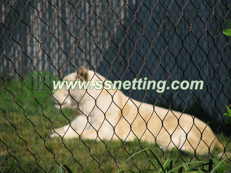 lion-enclosure-460-460.jpg