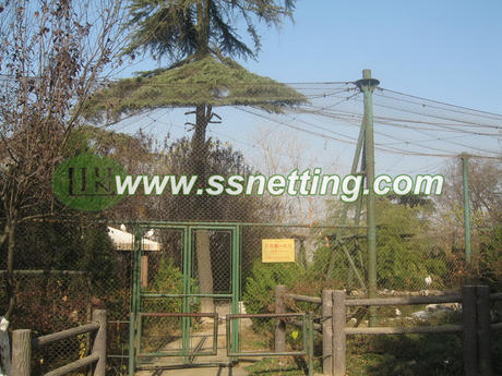 Bird Aviary Mesh Protection Project