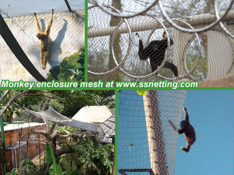 monkey-enclosure-mesh-460-460.jpg