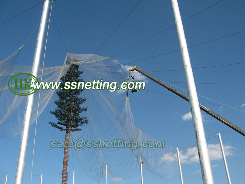 stainless steel rope mesh for Zoo fence protection
